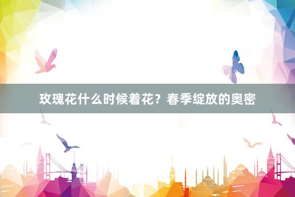 玫瑰花什么时候着花？春季绽放的奥密